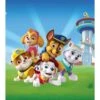 Sanders & Sanders Fotobehang PAW Patrol Blauw En Groen - 180 X 202 Cm 1 Sanders & Sanders Fotobehang PAW Patrol Blauw En Groen - 180 X 202 Cm -Meubels Voor Thuis 11216320