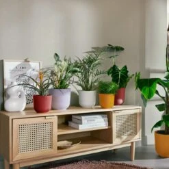 Elho Jazz Bloempot - Ø 26 Cm - Lavender Lilac -Meubels Voor Thuis 11309630