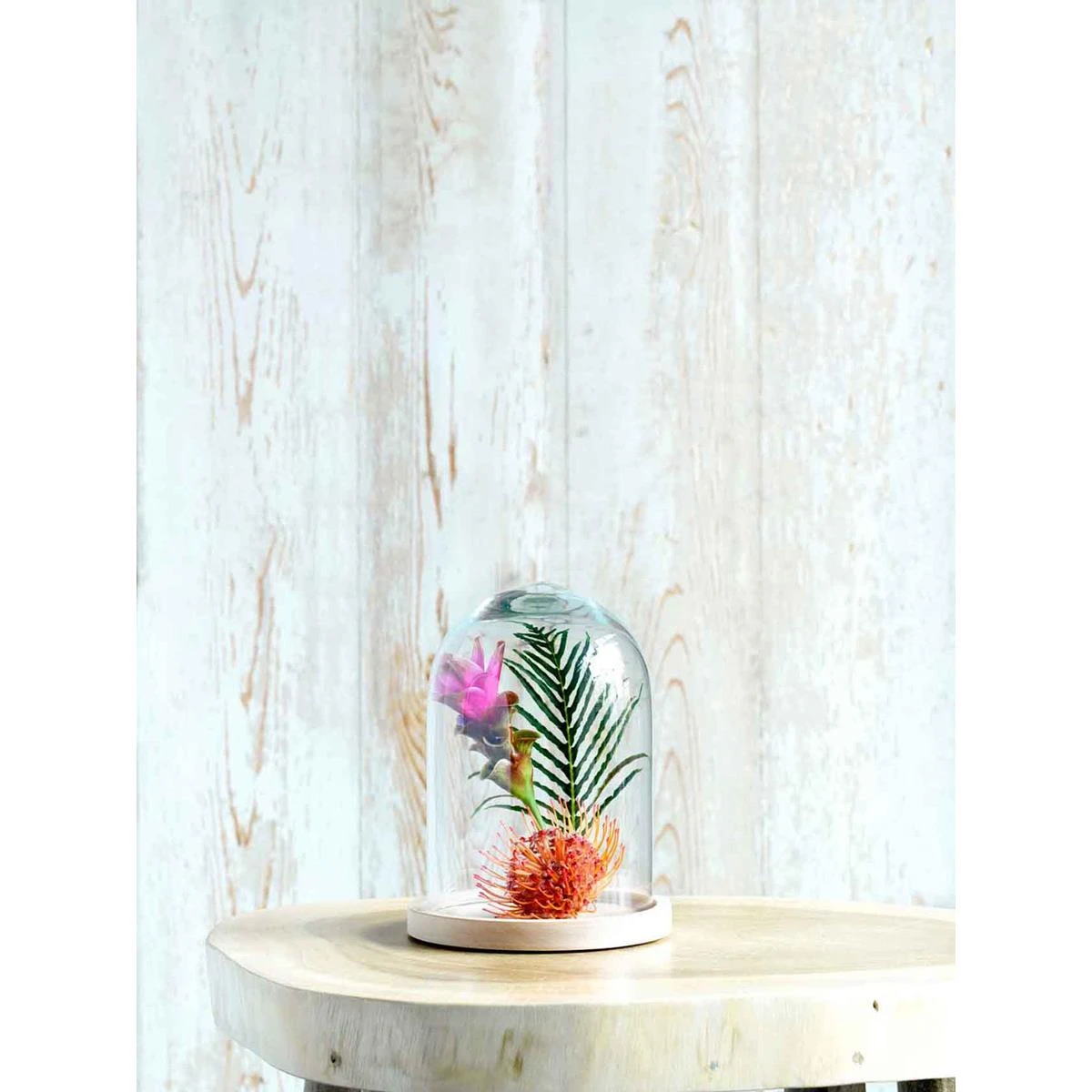 Mica Decorations Hella Stolp - H23 X Ø17 Cm - Glas - Set Van 2 7 Mica Decorations Hella Stolp - H23 X Ø17 Cm - Glas - Set Van 2 - Afbeelding 5