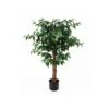 Present Time Kunstplant Fig Ficus - Groen - 76x76x110cm 2 Present Time Kunstplant Fig Ficus - Groen - 76x76x110cm -Meubels Voor Thuis 11450450