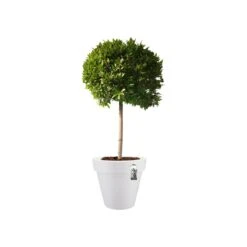Elho Pure Round Bloempot Ø 80 Cm - Wit -Meubels Voor Thuis 11454638