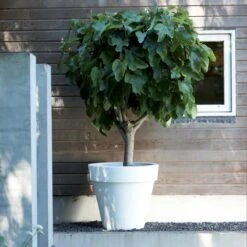 Elho Pure Round Bloempot Ø 80 Cm - Wit -Meubels Voor Thuis 11454651