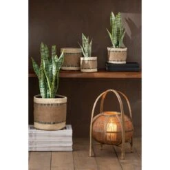 J-Line Plant Sansevieria In Pot Pvc Groen Small -Meubels Voor Thuis 11625435