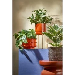 Mica Decorations Scindapsus Kunstplant - H44 X Ø17 Cm - Groen -Meubels Voor Thuis 11689206