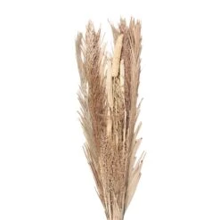 Clayre & Eef Droogbloemen 100 Cm Beige Droogbloemen Droogboeket