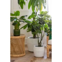 J-Line Pothos Plant In Pot Plastiek Groen -Meubels Voor Thuis 11735626
