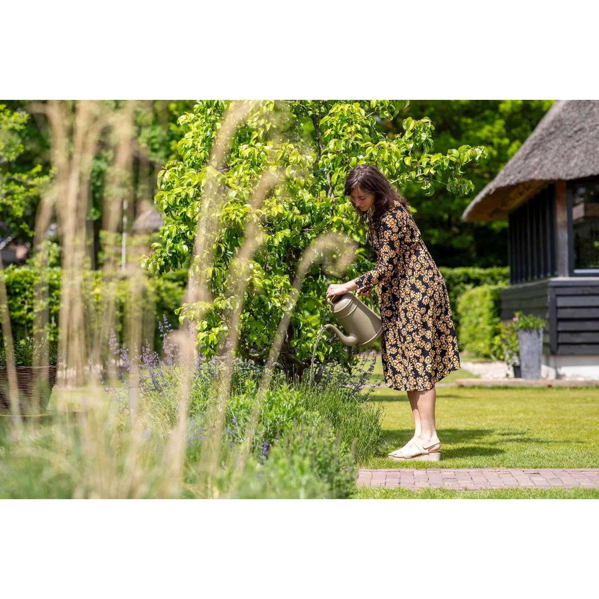 Xala Lungo Gieter Oudgroen 8 Xala Lungo Gieter Oudgroen - Afbeelding 6