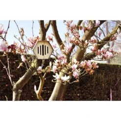 Capi Europe Vlinderhuisje Hive - 19x23x20 - Bruin -Meubels Voor Thuis 11763113