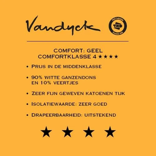 Vandyck Astro 90 4-seizoenen Dekbed 240 X 220 Cm 4 Vandyck Astro 90 4-seizoenen Dekbed 240 X 220 Cm - Afbeelding 2