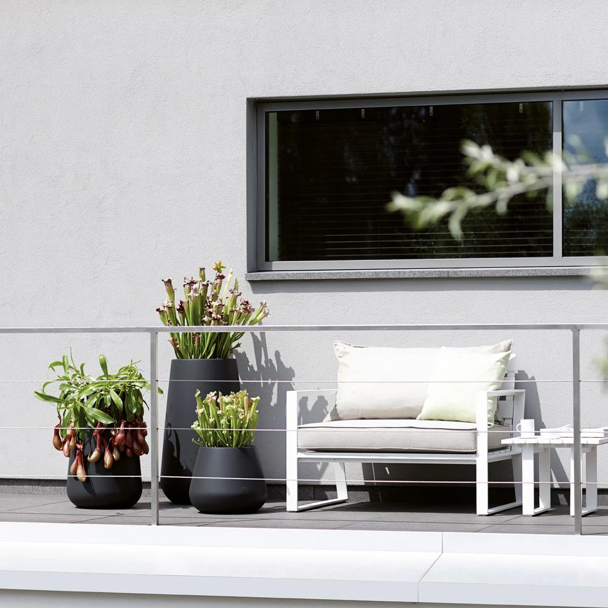 Elho Pure Cone Bloempot Ø 55 Cm - Zwart 4 Elho Pure Cone Bloempot Ø 55 Cm - Zwart - Afbeelding 2