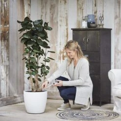 Elho Aqua Care Waterdispenser -Meubels Voor Thuis 9458384