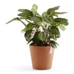 Ecopots Amsterdam 40 -Meubels Voor Thuis 9461457