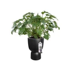 Elho Pure Coupe Bloempot Ø 41 Cm - Black -Meubels Voor Thuis 9465154
