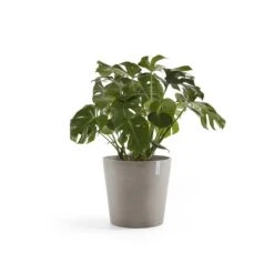 Ecopots Amsterdam Pot Ø 50 Cm - Taupe -Meubels Voor Thuis 9466964