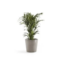 Ecopots Amsterdam Pot Ø 50 Cm - Taupe -Meubels Voor Thuis 9466965