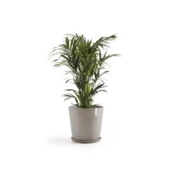 Ecopots Amsterdam Pot Ø 50 Cm - Taupe -Meubels Voor Thuis 9466977
