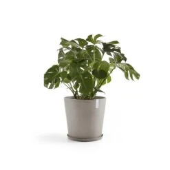 Ecopots Amsterdam Pot Ø 50 Cm - Taupe -Meubels Voor Thuis 9466979