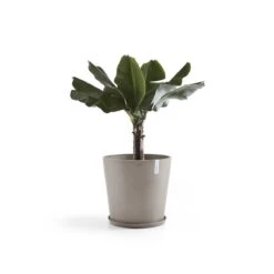 Ecopots Amsterdam Pot Ø 50 Cm - Taupe -Meubels Voor Thuis 9466983