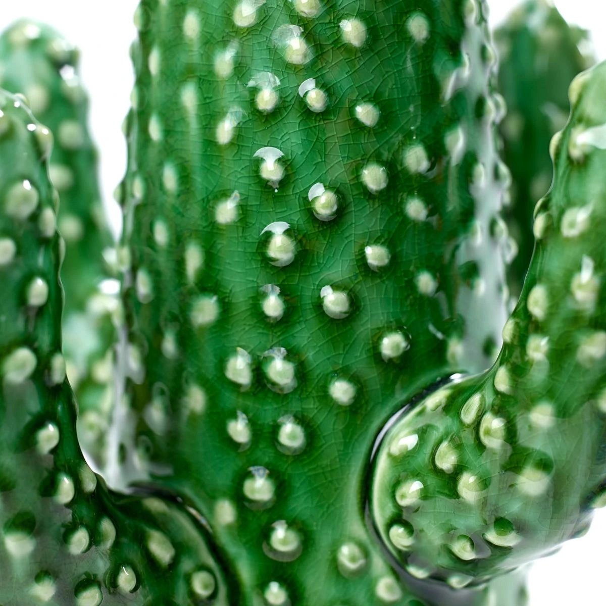 SERAX - Marie Michielssen - Cactus Vaas L 8 SERAX - Marie Michielssen - Cactus Vaas L - Afbeelding 6
