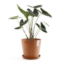 Ecopots Amsterdam 40 -Meubels Voor Thuis 9479980