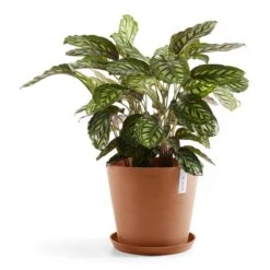 Ecopots Amsterdam 40 -Meubels Voor Thuis 9479982