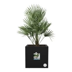 Elho Vivo Next Plantenbak B 40 Cm - Zwart 13 Elho Vivo Next Plantenbak B 40 Cm - Zwart -Meubels Voor Thuis 9486781