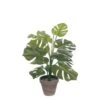 Mica Decorations Monstera Kunstplant - H48 X Ø39 Cm - Groen 1 Mica Decorations Monstera Kunstplant - H48 X Ø39 Cm - Groen -Meubels Voor Thuis 9490176