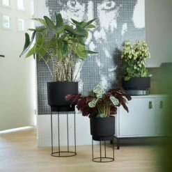 Elho B.For Studio Bloempot 30 Cm -Meubels Voor Thuis 9495015