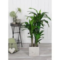 Mica Decorations Dracaena Kunstplant H110 Cm -Meubels Voor Thuis 9496683