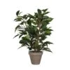 Mica Decorations Ficus Natasja Kunstplant In Bloempot H40 Cm -Meubels Voor Thuis 9578371