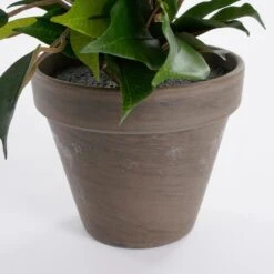 Mica Decorations Ficus Natasja Kunstplant In Bloempot H40 Cm 12 Mica Decorations Ficus Natasja Kunstplant In Bloempot H40 Cm -Meubels Voor Thuis 9578383