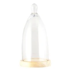 Clayre & Eef Stolp Ø 14x29 Cm Hout Glas Rond Glazen Stolp