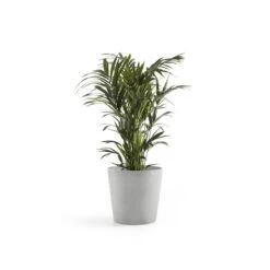 Ecopots Amsterdam Bloempot Met Waterreserve Ø 50 Cm - Witgrijs -Meubels Voor Thuis 9682032