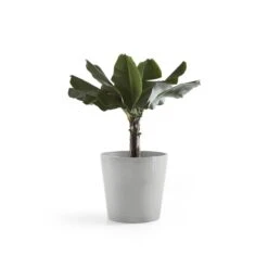 Ecopots Amsterdam Bloempot Met Waterreserve Ø 50 Cm - Witgrijs -Meubels Voor Thuis 9682033