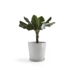 Ecopots Amsterdam Bloempot Met Waterreserve Ø 50 Cm - Witgrijs -Meubels Voor Thuis 9682039