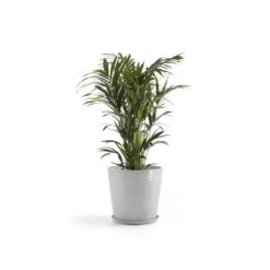 Ecopots Amsterdam Bloempot Met Waterreserve Ø 50 Cm - Witgrijs -Meubels Voor Thuis 9682041