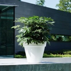 Elho Pure Round Bloempot Ø 60 Cm - Wit -Meubels Voor Thuis 9723821