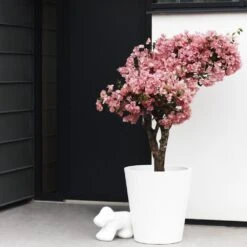 Elho Pure Straight Round Plantenbak 65 Cm Wit 11 Elho Pure Straight Round Plantenbak 65 Cm Wit -Meubels Voor Thuis 9742427