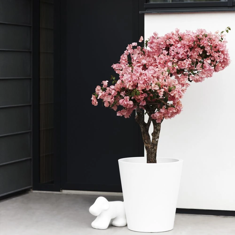 Elho Pure Straight Round Plantenbak 65 Cm Wit 6 Elho Pure Straight Round Plantenbak 65 Cm Wit - Afbeelding 4