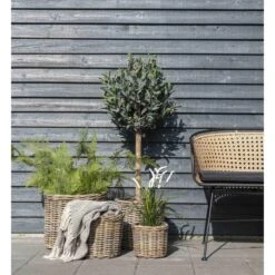 Artichok Sander Plaid Donkergrijs - 160 X 130 Cm -Meubels Voor Thuis 9767288