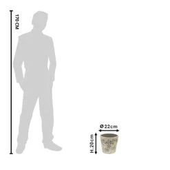 Clayre & Eef Bloempot Ø 22x20 Cm Groen Beige Keramiek Bloemen -Meubels Voor Thuis 9774931