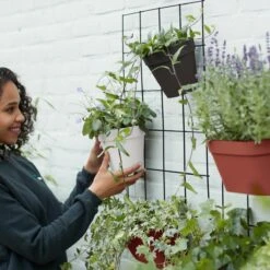 Elho Loft Urban Green Wall Wandrek -Meubels Voor Thuis 9788332