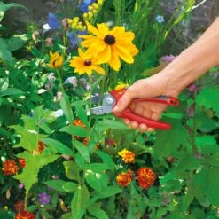 Wolf-Garten Comfort Plus RS2500 Snoeischaar 8 Wolf-Garten Comfort Plus RS2500 Snoeischaar -Meubels Voor Thuis 9890637