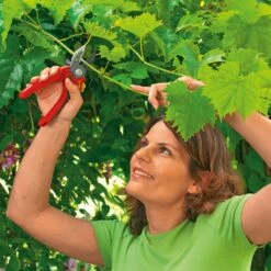 Wolf-Garten Comfort Plus RS2500 Snoeischaar 10 Wolf-Garten Comfort Plus RS2500 Snoeischaar -Meubels Voor Thuis 9890643